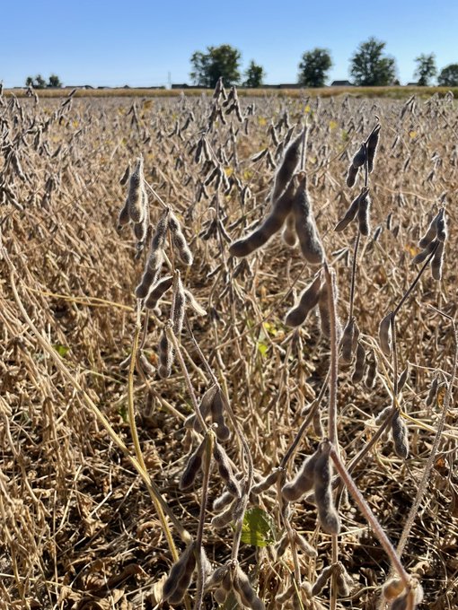 RRXtend's tweet photo. #AgTwitter, is your company having a #Thanksgiving potluck party? 

We call ours a pod-luck party! 😎  

🔁 to RSVP! #WorkFromFields

📸 @wyattjones_20, @jw_schneid, @andrewburt11 https://t.co/zzEiXDwSIV