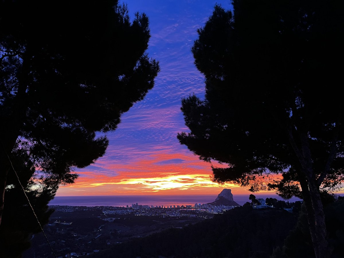 Sandra Versluys tweet media