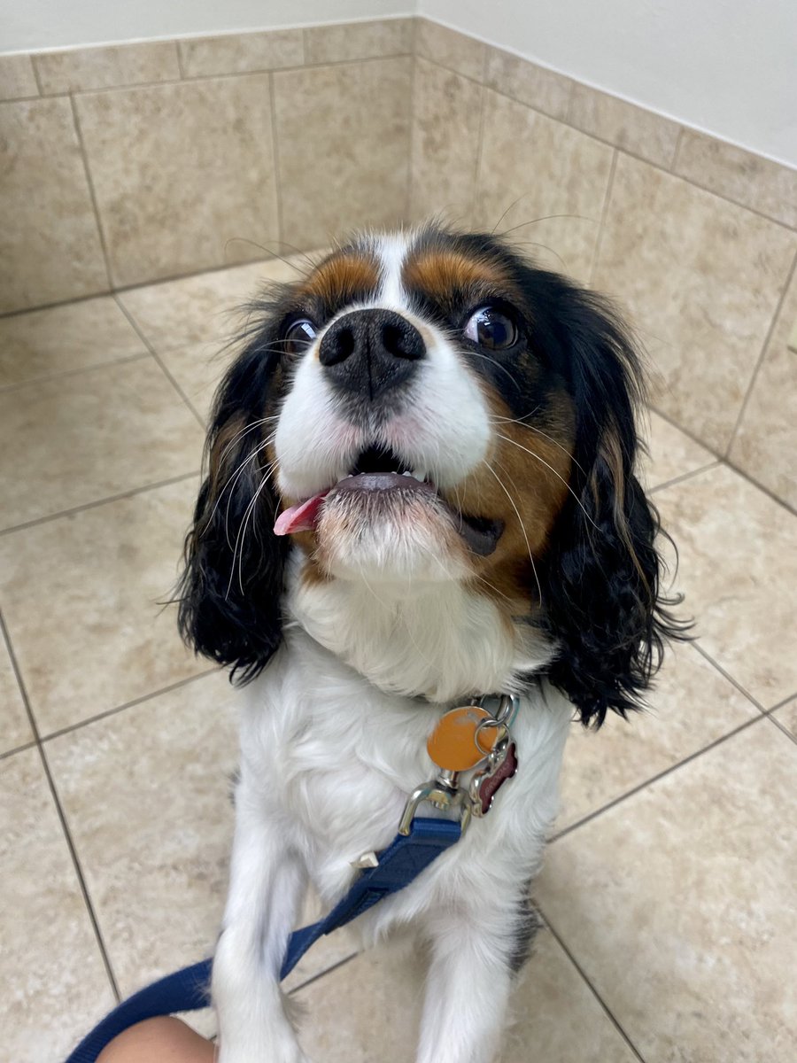 The moment Brooks found out he has to go on a…diet.😳