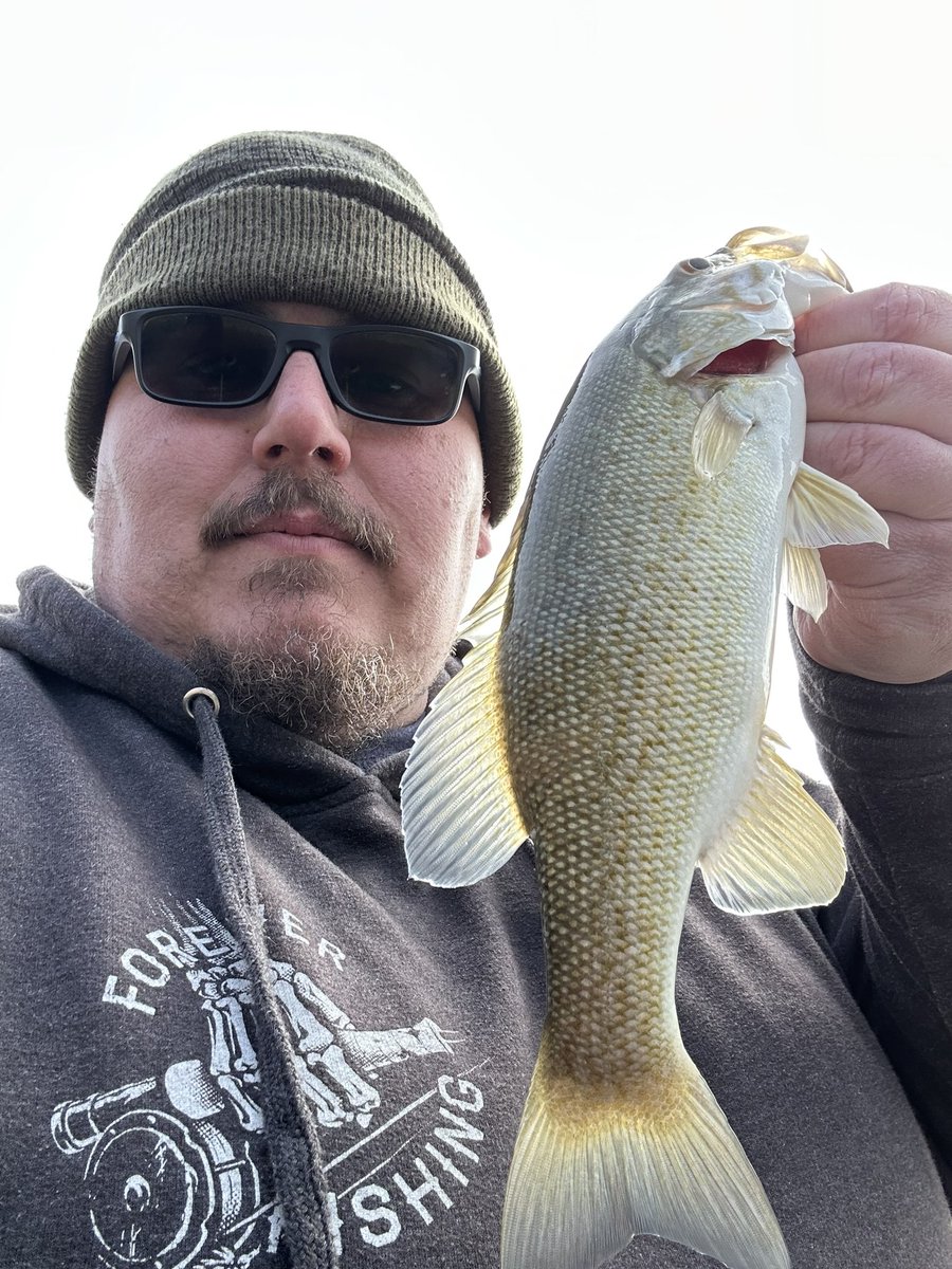 appyangler1's tweet photo. Unreal how warm the water still is, won’t be long before these start stacking up out deep

https://t.co/fXP5cPxZyB

#catchandrelease #fishing #appyangler #bassfishing #dropshot #roboworm https://t.co/KfYQPMLmTZ