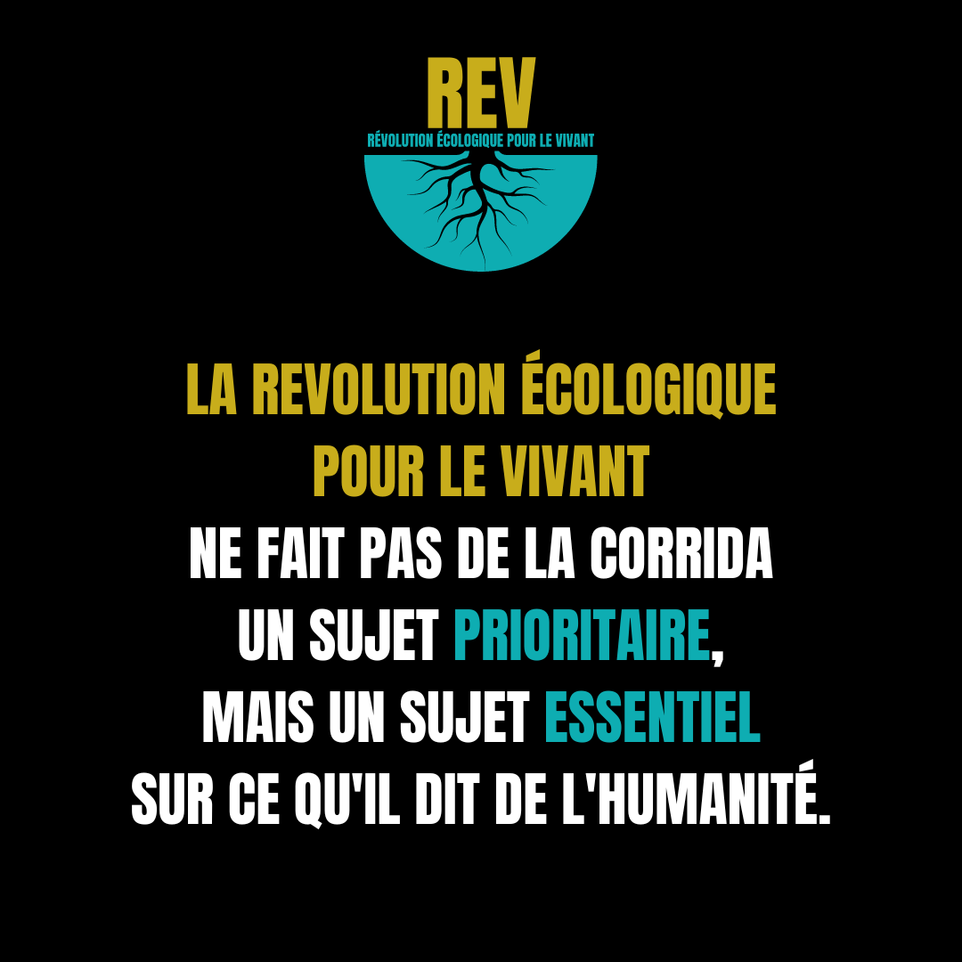 24h avant la mise aux votes de la PPL Corrida, nos réponses à 3 arguments qu'on nous oppose régulièrement :
-La corrida n'est pas notre seul combat
-Le respect du vivant inclut les êtres humains
-L'abolition de la corrida n'est pas prioritaire, mais essentielle
#24NovembreCorrida