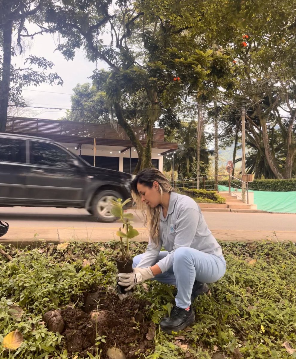 leidy_mazo's tweet photo. Conmemoración a las personas que murieron a causa del COVID-19. 
Una jornada en la que se sembraron 70 árboles en Supía Caldas en alianza con la @GoberCaldas 
El impacto está en la acción, la revolución de las cosas pequeñas. https://t.co/9edmcN29kd
