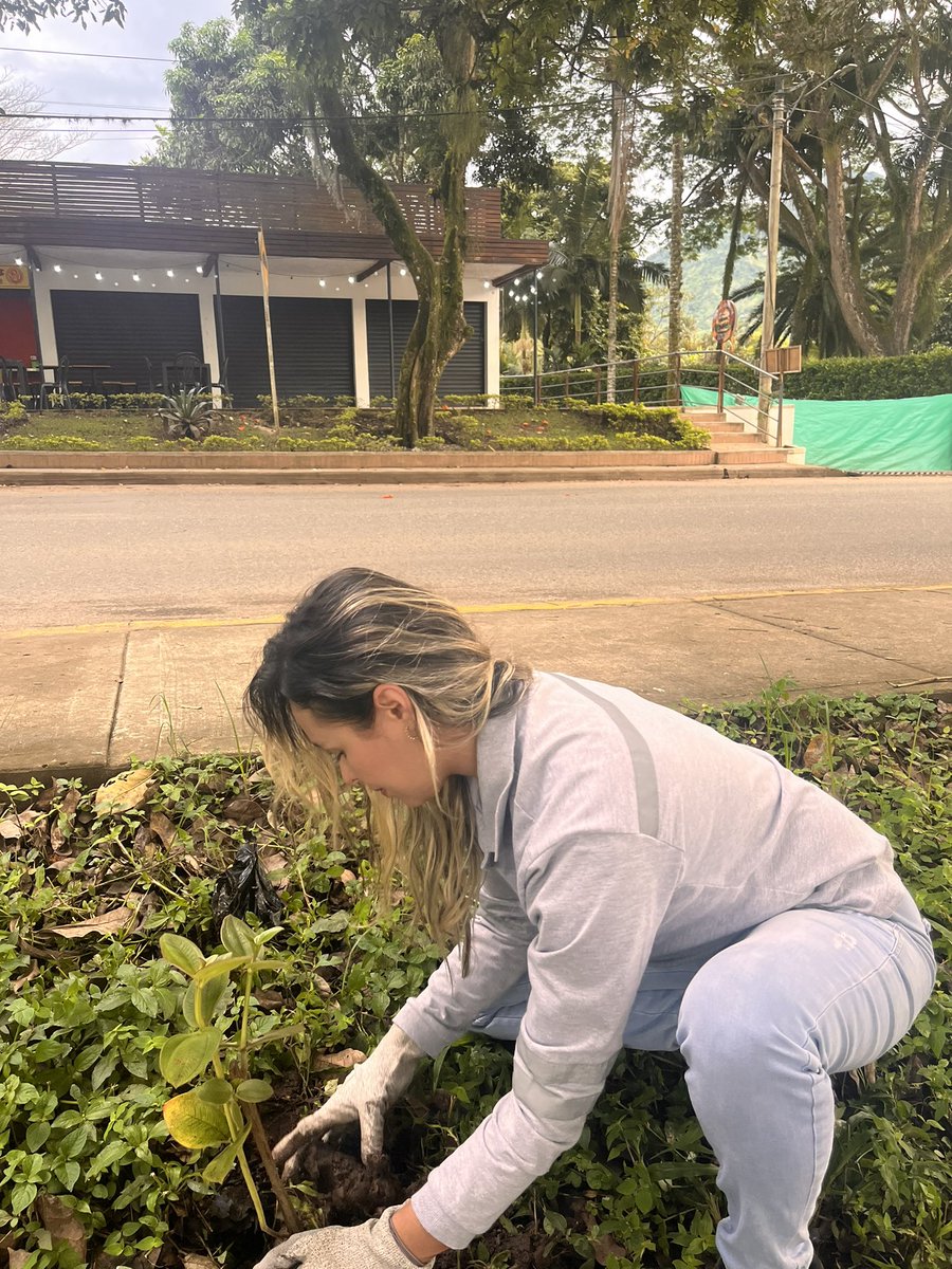 leidy_mazo's tweet photo. Conmemoración a las personas que murieron a causa del COVID-19. 
Una jornada en la que se sembraron 70 árboles en Supía Caldas en alianza con la @GoberCaldas 
El impacto está en la acción, la revolución de las cosas pequeñas. https://t.co/9edmcN29kd