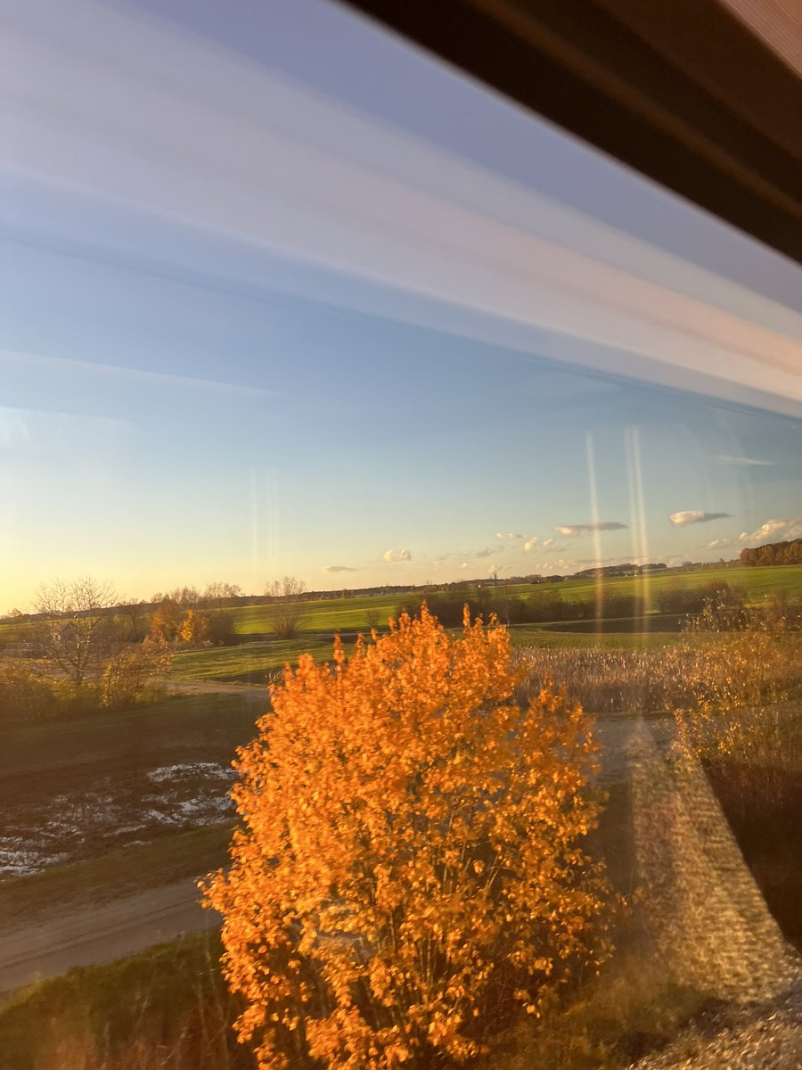 maxiimrose's tweet photo. While the sun stays away in autumn and everything seems grey and ugly actually everything becomes much more colorful and beautiful. 

Your grey and depressing times might make you as beautiful as ever.

So don’t text him/her! You sexy ass orange tree! 
#autumn #thoughts #train https://t.co/OvdcKbGW66