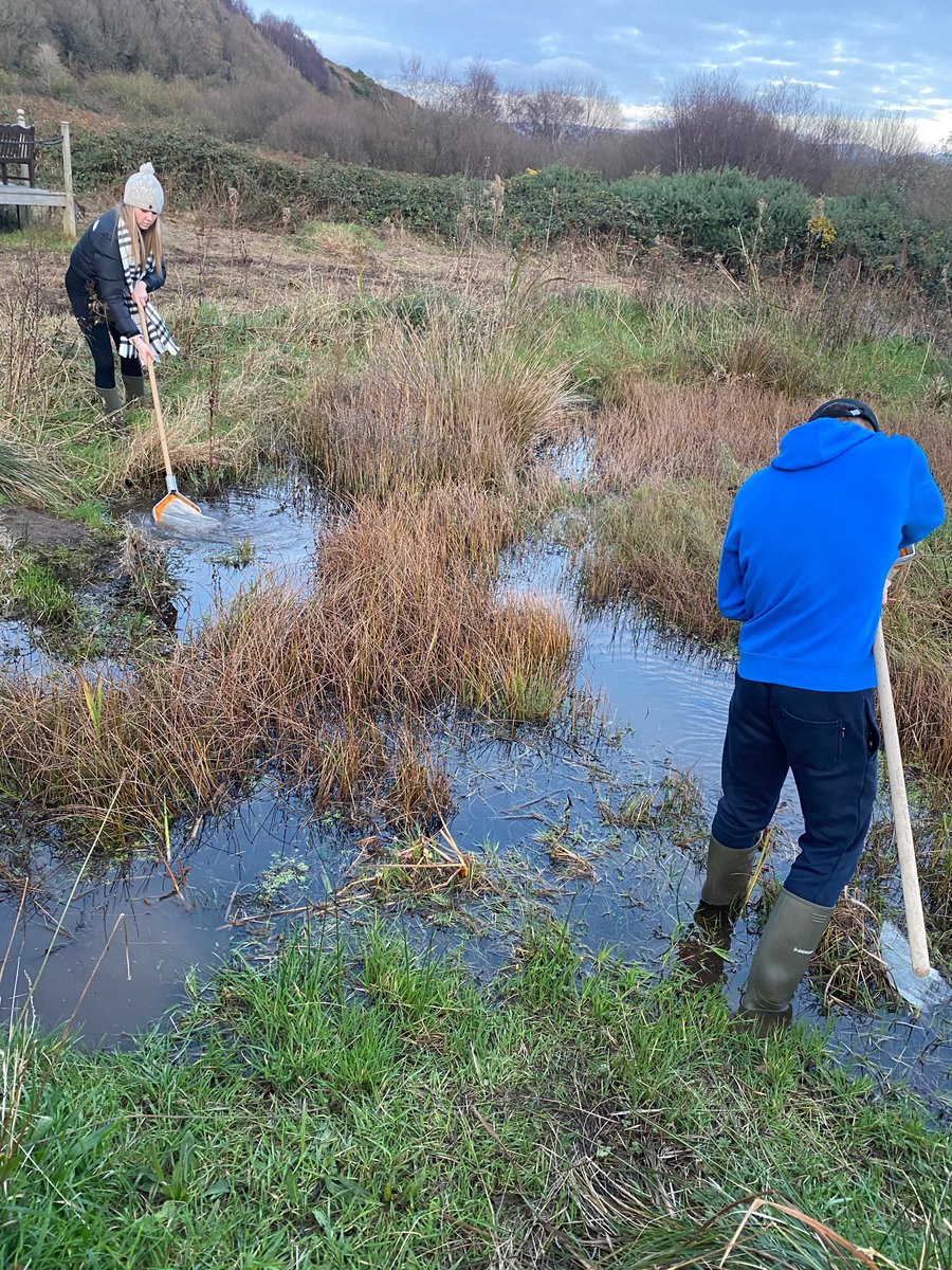 FSC Scotland tweet media