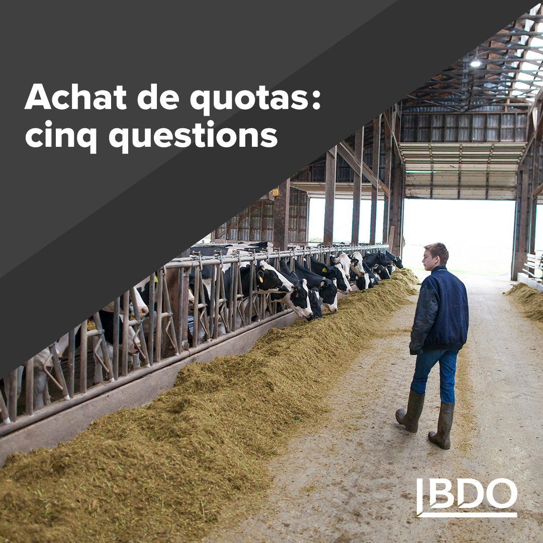 Vous souhaitez faire croître votre #exploitationagricole? Voici cinq questions à vous poser avant d’acheter des #quotas et d’effectuer d’autres investissements agricoles. direc.to/i9Dw