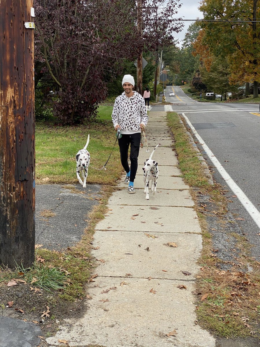 I’m being trolled by the Algorithm