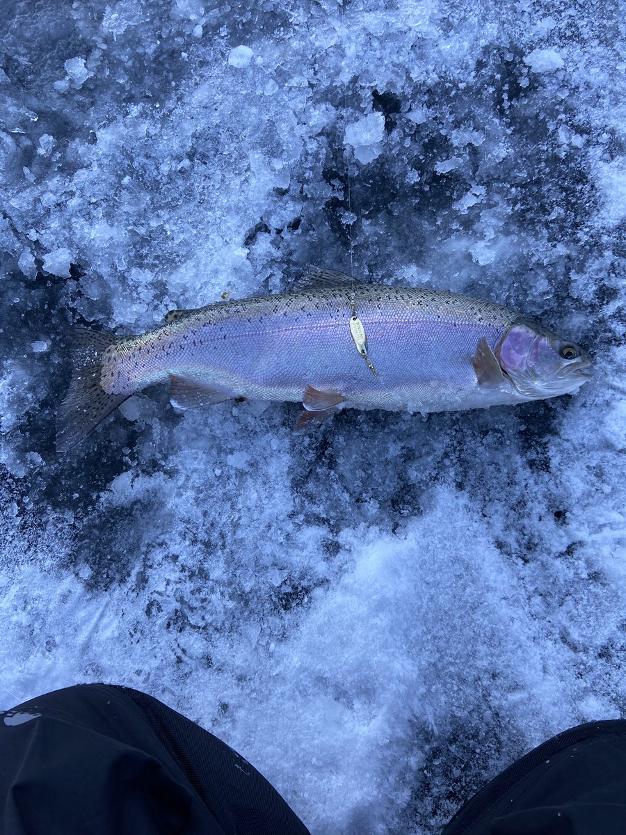 MtnWestIceFish's tweet photo. First Trip of the Year.

#underarmour #yeti #sportsmanswarehouse #mtndew #icefishing #ionaugers 
#uglystik #jawjacker #procurebaitscents #maniaclures #marcum #bft #clam #mtnops #customjigsandspins #ratfinkee #coldnationoutdoors #icefishingnation 
#801 https://t.co/se3YcBgwqe