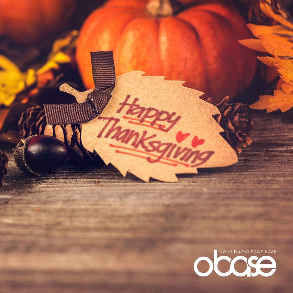 Obase US tweet media