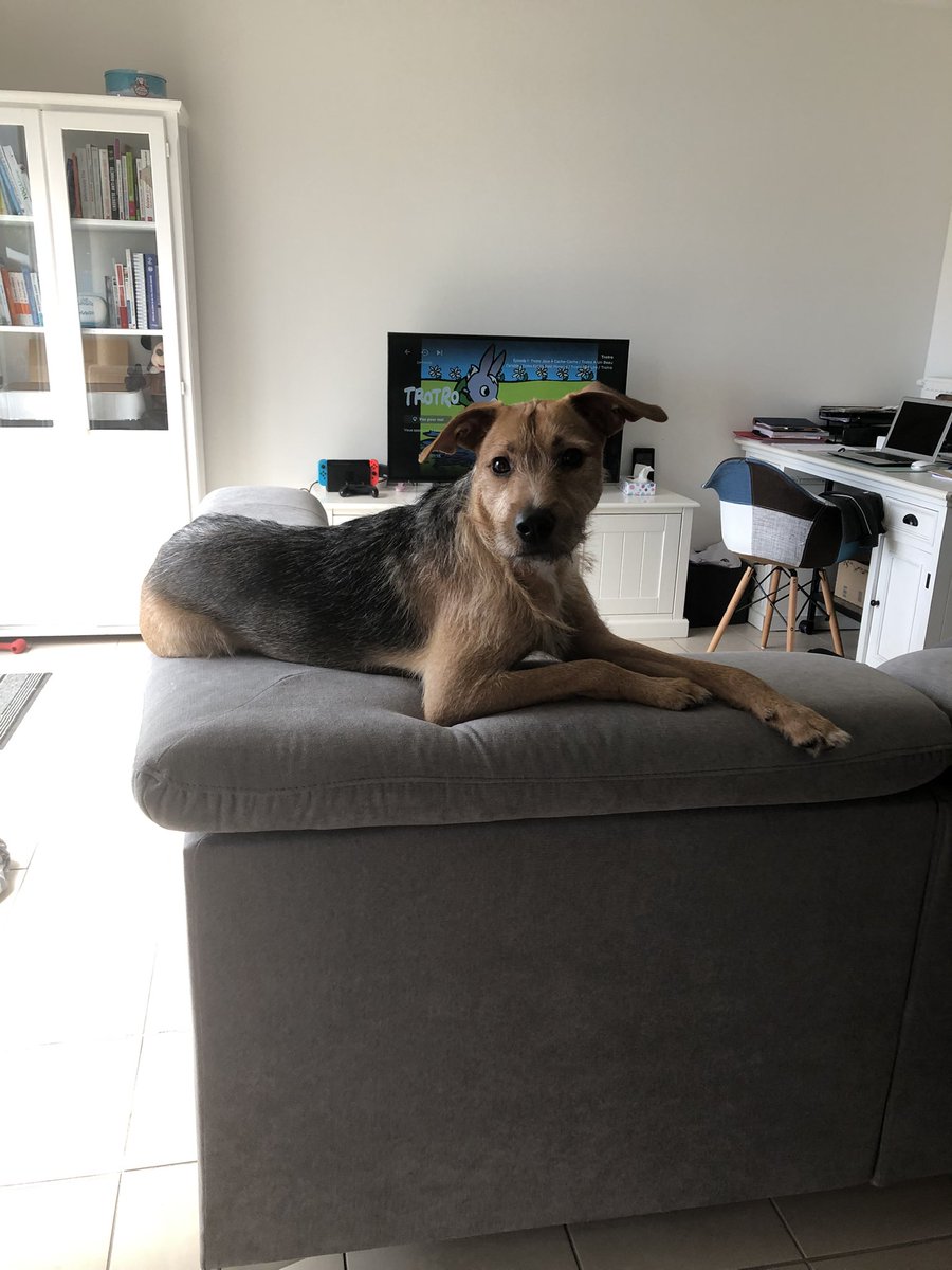 bebeseyko's tweet photo. Quoi ?
J’ai quand même le droit de changer mon angle de vue ?
« Je suis monté sur ce [canapé] pour me rappeler que nous devons constamment modifier le regard que nous portons sur le monde. 
Car le monde est différent vu d'ici. » https://t.co/ZL8Zazyz1E