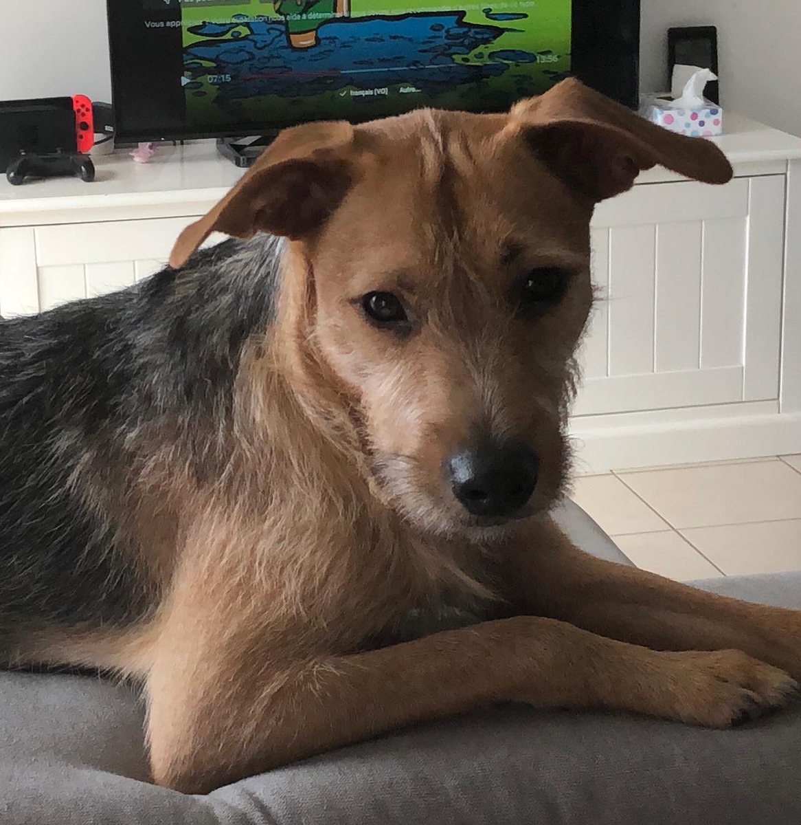 bebeseyko's tweet photo. Quoi ?
J’ai quand même le droit de changer mon angle de vue ?
« Je suis monté sur ce [canapé] pour me rappeler que nous devons constamment modifier le regard que nous portons sur le monde. 
Car le monde est différent vu d'ici. » https://t.co/ZL8Zazyz1E