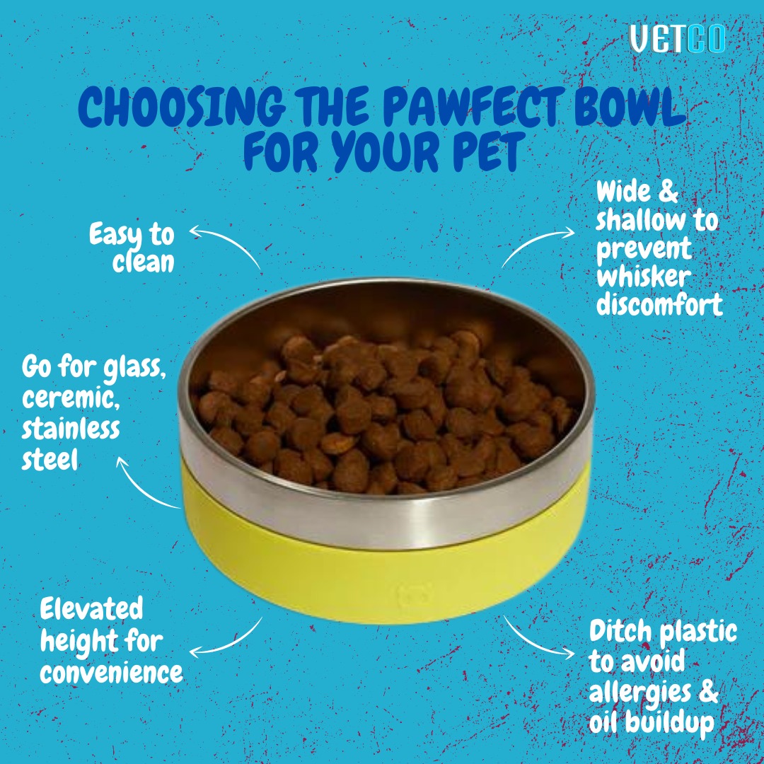 getvetco's tweet photo. Choose wisely 🤓😸
.
.
#bajwa_traitor #FIFAWorldCup #cat #CatsLover https://t.co/YWRRFEh9gb