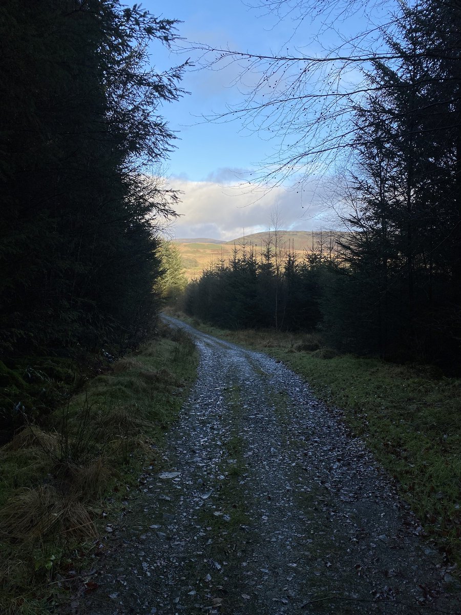 Frothy Bike Co. tweet media