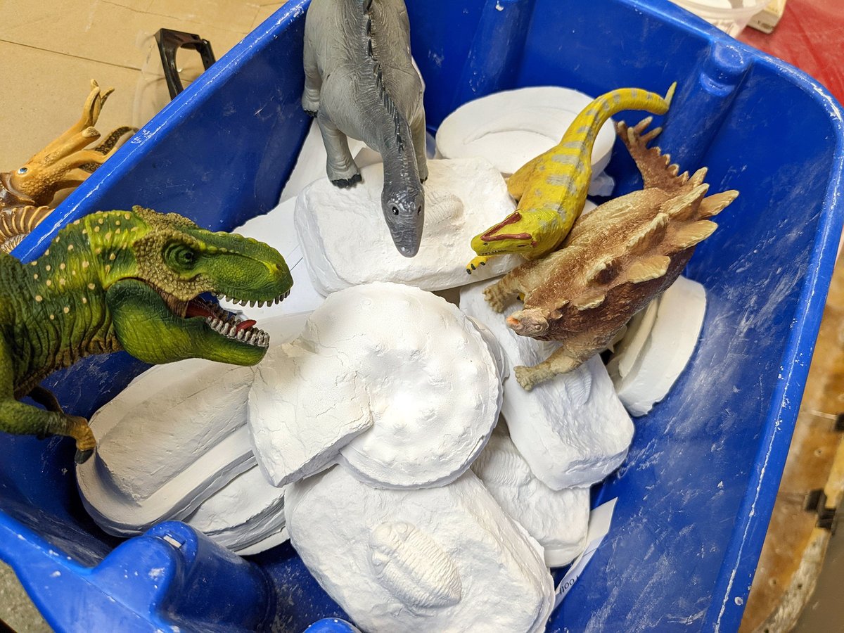 These curious dinosaurs found their way into our Learning Centre. Somehow, they managed to make some fossil casts. We were pleasantly surprised by the quality of their handiwork—and by the lack of mess! #Dinovember