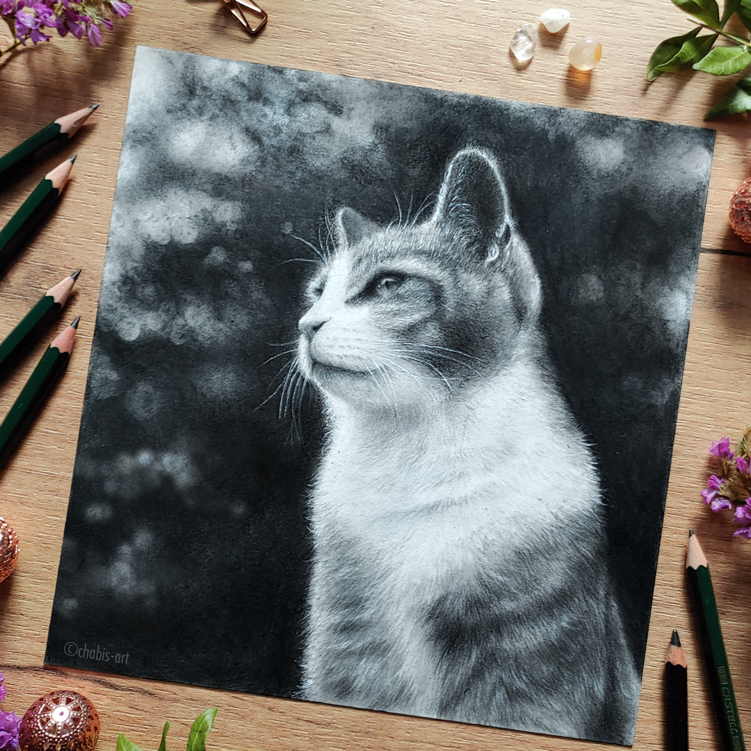 chabi_chu's tweet photo. Bleistift-/Kohlezeichnung von Moritz. Damit habe ich ihn bereits zum vierten Mal gezeichnet. 😸
.
Sein Bruder Max hält vor der Kamera leider nicht still, da er lieber gestreichelt und gefüttert werden will. Und was die Mietz will, bekommt sie auch. 😂
.
#kleinekunstklasse #katze https://t.co/otkYiaHowy