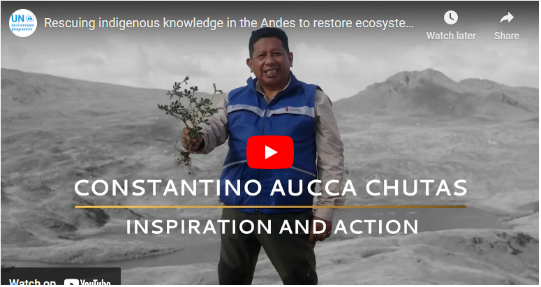 Honoured in the 2022 @UNEP Champions of the Earth category of Inspiration and Action, Constantino Aucca Chutas has pioneered a community reforestation model driven by local and Indigenous communities. 🎥youtu.be/R8sdVzSogMU #EarthChamps #GenerationRestoration #WeAreIndigenous