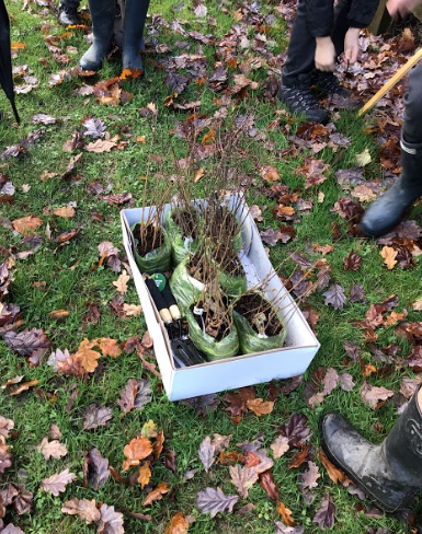 Despite the bad weather today, we planted lots of new trees on the Gelli Haf site. Thank you to everyone who took part and a big DIOLCH (thank you) to @WoodlandTrust for the trees!🌳🌳🌳 <a href="/Cwmrhymni/">YG Cwm Rhymni</a> #IsbwyllgorEco