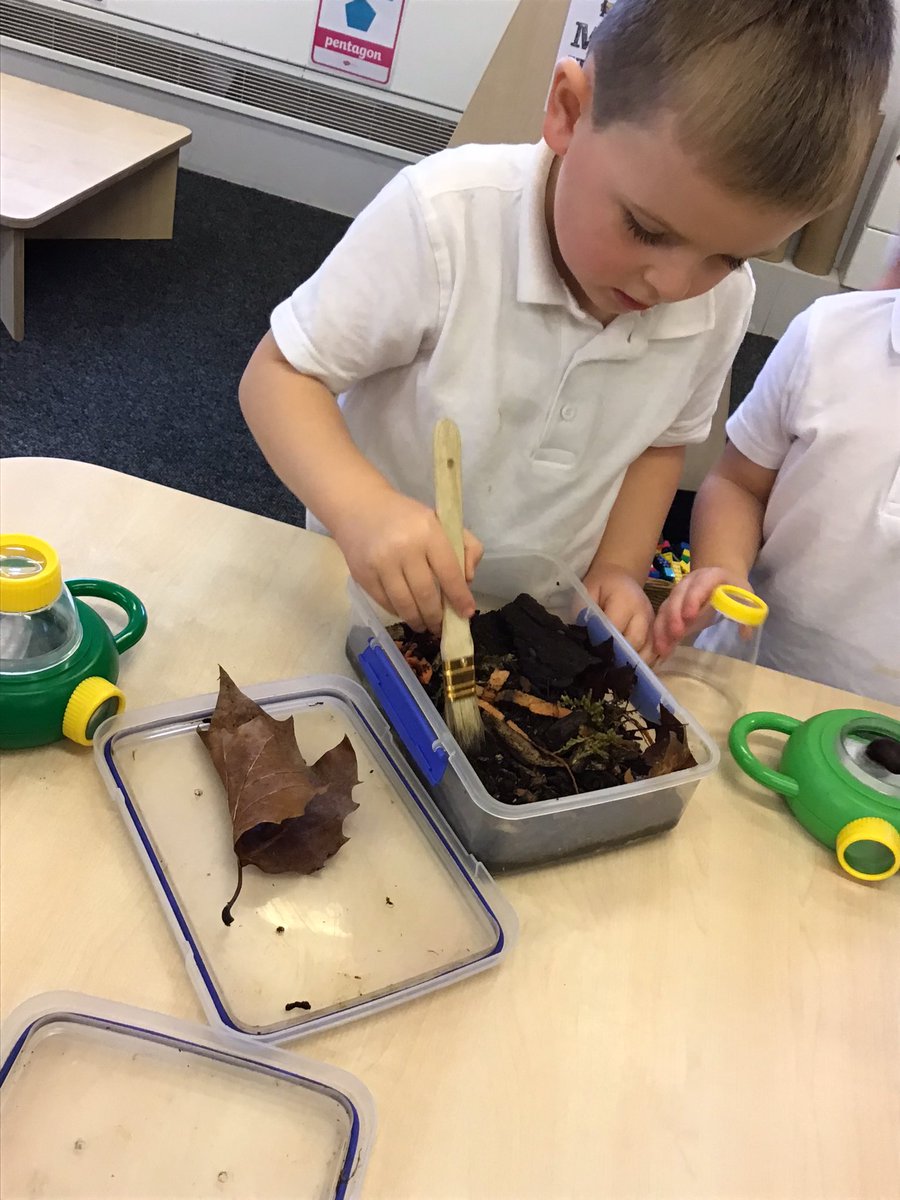ABCPschool's tweet photo. #ABReception and #ABks1 have had fun today with a wild workshop visit? The children got to hold centipedes, snails and even a 6 week old mouse! #ABScience #ABeyfs #Understandingtheworld https://t.co/Qny3tsqQ6X