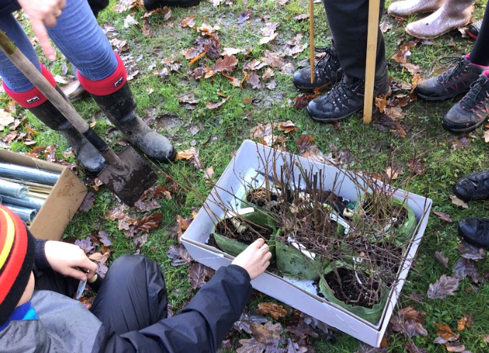 Er y tywydd erchyll heddiw, llwyddom i blannu nifer fawr o goed newydd ar y safle GelliHaf. Diolch i bawb am eich gwaith caled, a diolch mawr i @WoodlandTrust am y coed! 🌳🌳🌳 <a href="/Cwmrhymni/">YG Cwm Rhymni</a> #IsbwyllgorEco