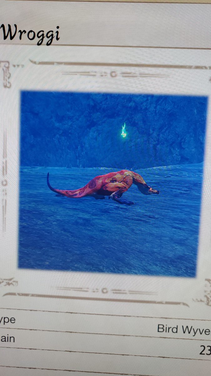 Boy, I wish more people could appreciate this picture I took of a Wroggi shitting.