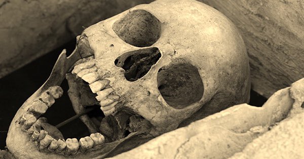 thehauntedpcast's tweet photo. Latest episode is available to listen to now. Screaming skulls 💀follow the link to listen https://t.co/mwVoopzORo https://t.co/kDIwAKOgKT