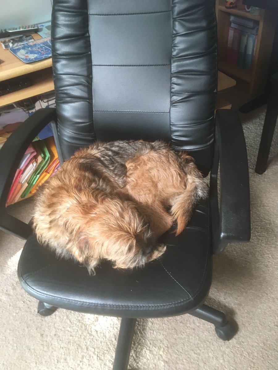 Stanley_BT_'s tweet photo. Working from home today #BTPosse #nosleepingonthejob https://t.co/vzQ6aOYY3F