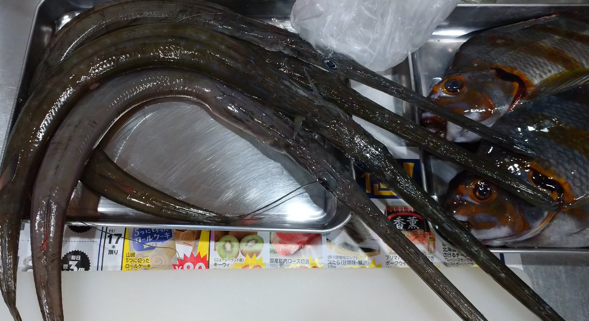 cherry_masaya's tweet photo. #mysupper #sashimi #roastedfish
#tastegood
#晩ごはん #ヒダリマキの刺身
#ヤガラの刺身 #ヤガラ
#ヤガラの塩焼き #タカノハダイの塩焼き #美味しい
タカノハダイ
ヒレは危ないわ、鱗は硬いしヌルヌルだし、しっぽは水玉カラーだし。。パリコレ ファッションの魚だ。。 https://t.co/67ZOgPMuhc