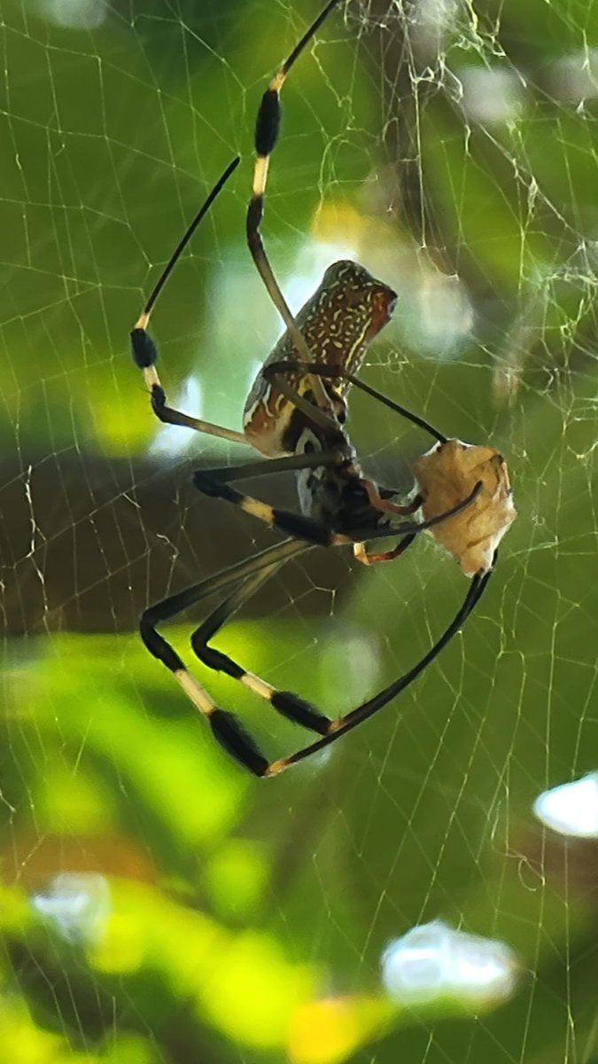 Gharda® tweet media