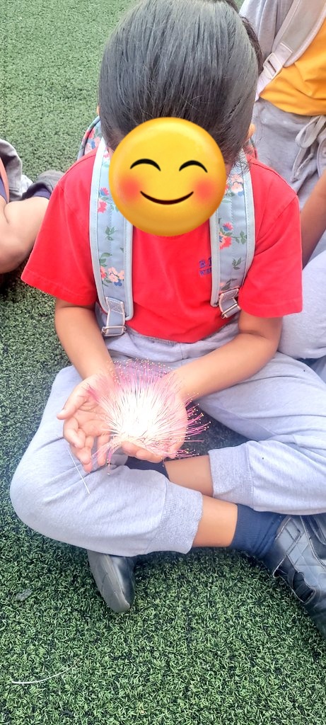 Joys of morning field duty: Some great plant investigations underway!! #outdoorlearning #learningwithoutwalls #waldorfinspired #Outdoorplay