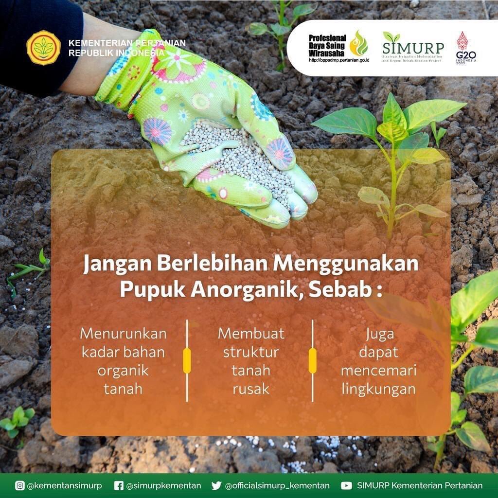 kementansimurp's tweet photo. Hai #KawanSimurp kalian harus tau kalau pupuk organik terus digencarkan pemerintah karena mengandung banyak manfaat. Tapi inget kata-kata bijak, semua yang berlebihan itu engga baik, begitu juga pupuk organik.
#csasimurp #kawansimurp #pupukorganik https://t.co/xE5hyFNjj8