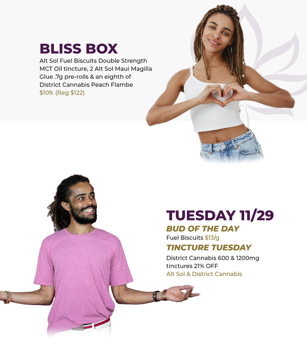 shopcannabliss (@shop_cannabliss) on Twitter photo 