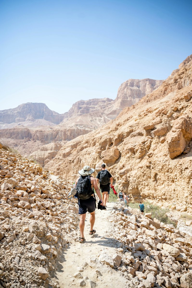 MayanotIsrael's tweet photo. Hiking at Ein Gedi with #Mayanotisrael on Taglit-Birthright Israel trips are a true highlight! Natural spring water 💦 in the heart of the desert 🐫 works every time 😎
Learn more about our trips today --> https://t.co/rMmSUvhFnO https://t.co/FDVKnJEcHU