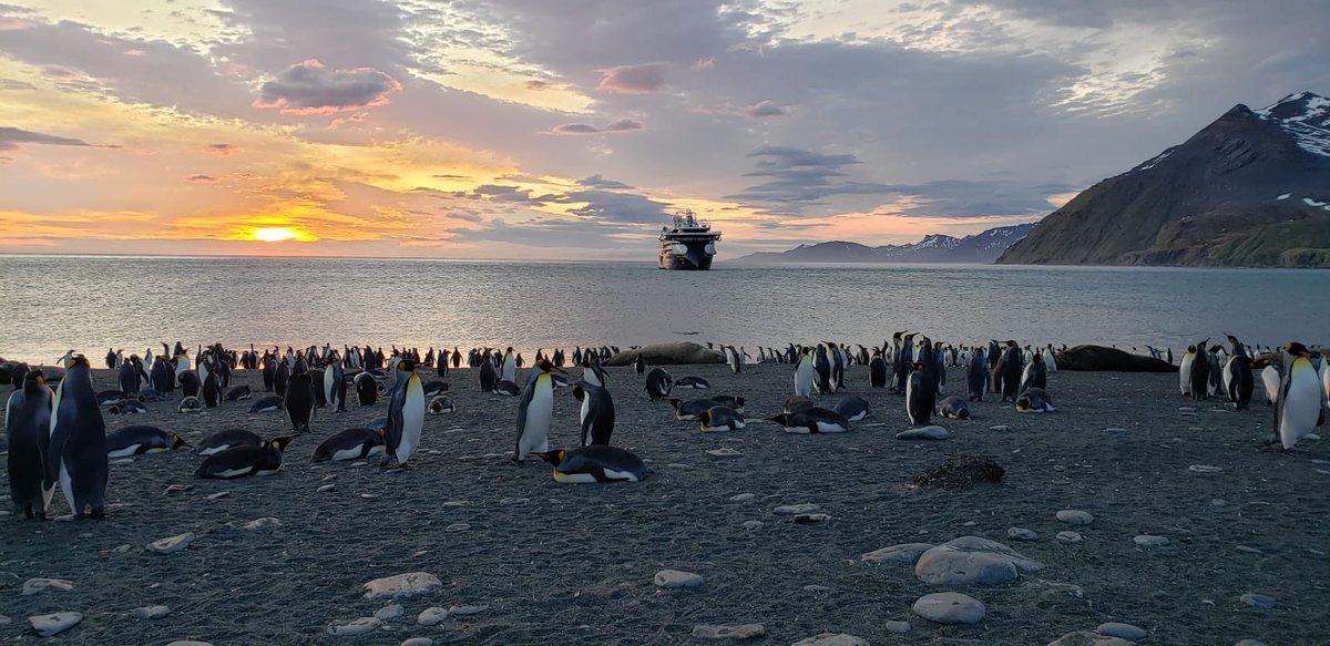 PersonalTravel_'s tweet image. Our agent Jenny Revesz is currently in Antartica with National Geographic - INCREDIBLE ❤️ 🐧 @NatGeoTravel @ensembletravel #lifeofatravelagent #dowhatyoulove #travelantartica #travelindustry #travelagent #tourism #travelandtourism #travelagency #travelcommunity #joinourteam