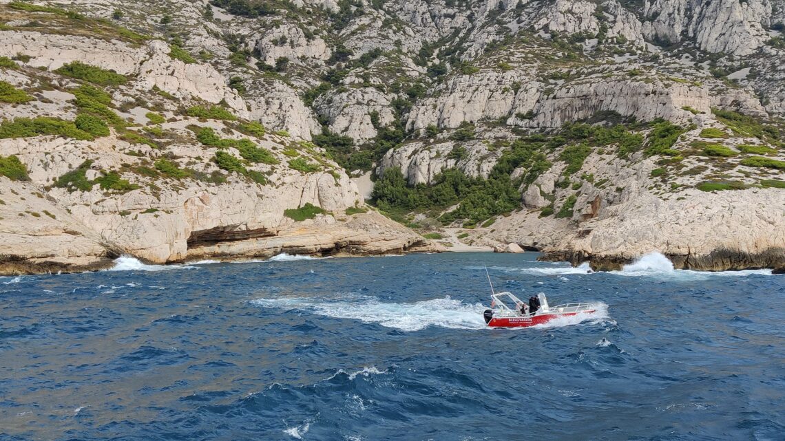 Le Fonds d'intervention maritime finance 5 projets dans le Sud, parmi lesquels deux pôles de formation sur la plateforme de recherche de l’île des Embiez dans le Var : un dédié à l’aquaculture et l’autre en restauration écologique 👉gomet.net/le-fonds-dinte… v/ <a href="/Gometmedia/">Gomet'</a> <a href="/MerGouv/">Mer et Pêche</a>
