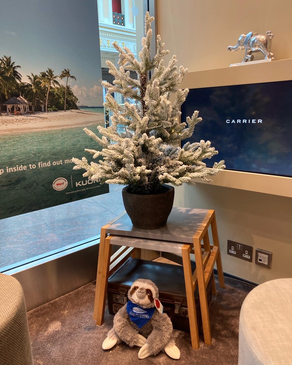 Kuoni_Trafford's tweet photo. Christmas 🎄 has arrived at Kuoni Trafford Centre, come and join us for a little festive fun @KuoniTravelUK @_traffordcentre #travel #dreams #adventures https://t.co/VycxbFJOH6