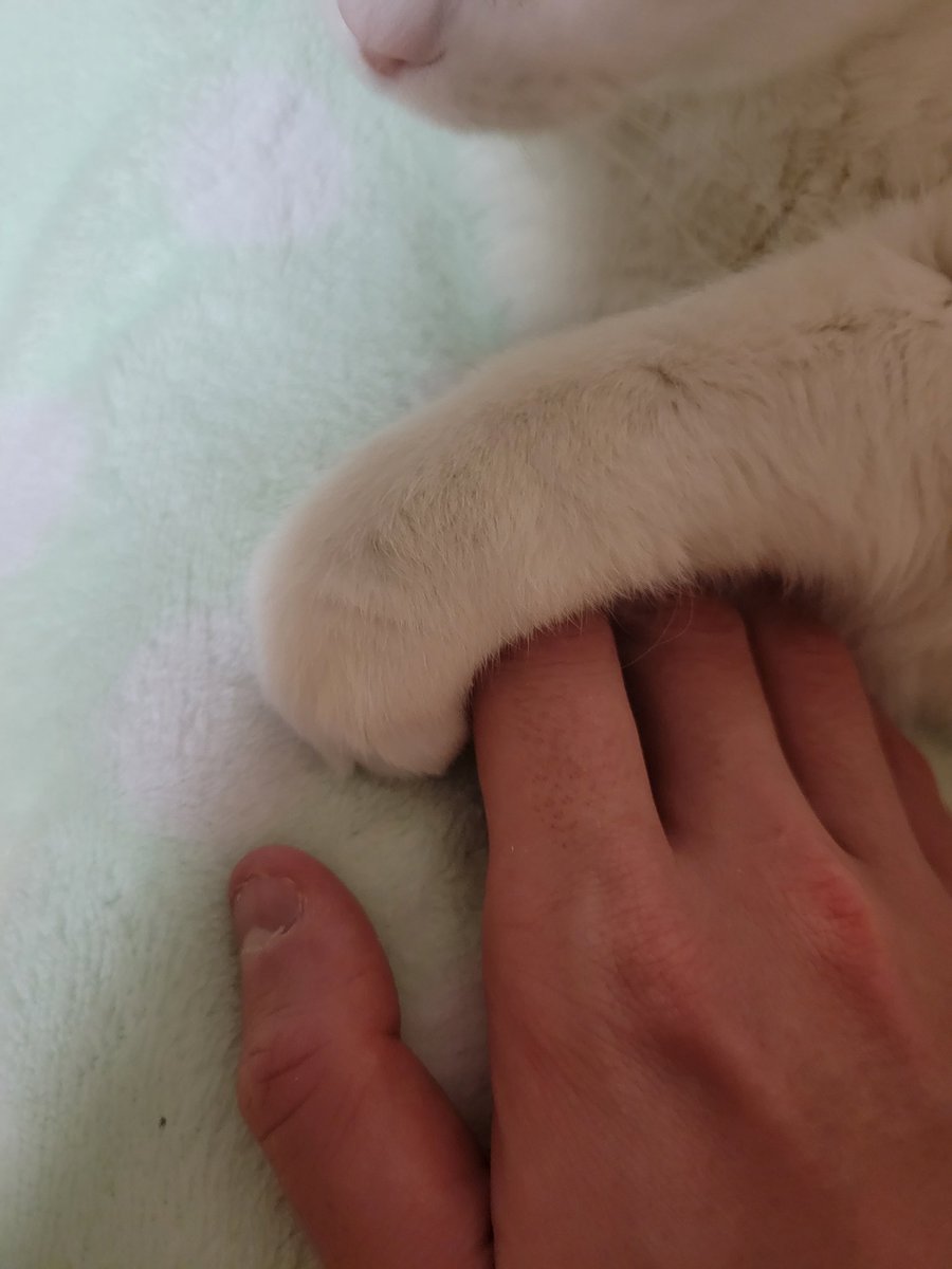 Bflattened tweet media