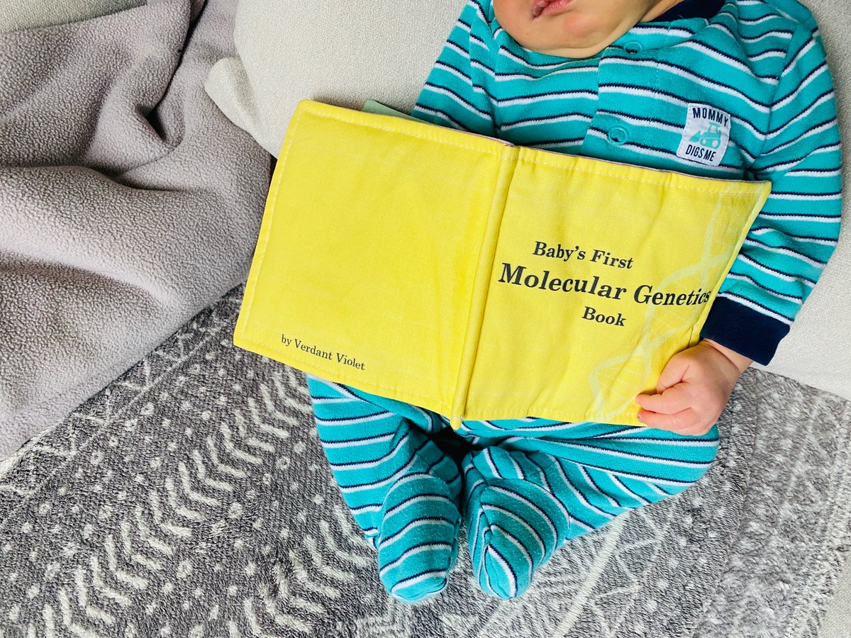 Roxanne Khamsi tweet media