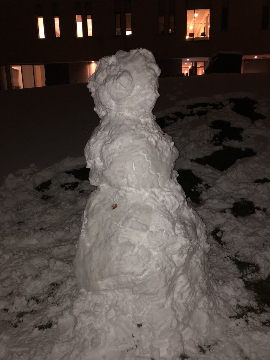 Outdoor education spent learning about accessibility by building snow people