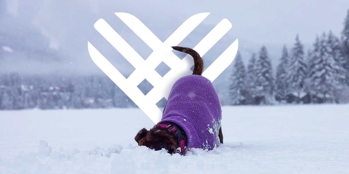 Giving Tuesday is 11/29. Are you ready to help your prospects dig deep? Head over to our blog for advancement and fundraising tips. bit.ly/3tTU7J7