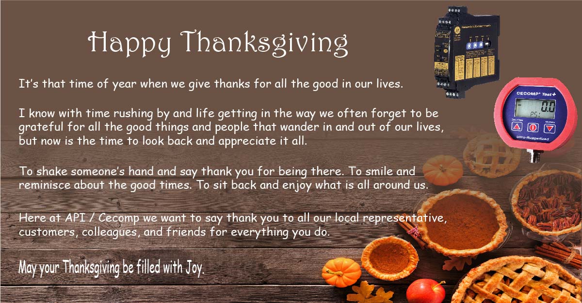 Happy Thanksgiving From All Of Us At API / Cecomp
#API #Cecomp
api-usa.com