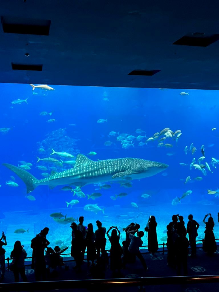 kobahiko's tweet photo. 1週間の沖縄旅行終わり
楽しかったなー https://t.co/O1d00xZvGS