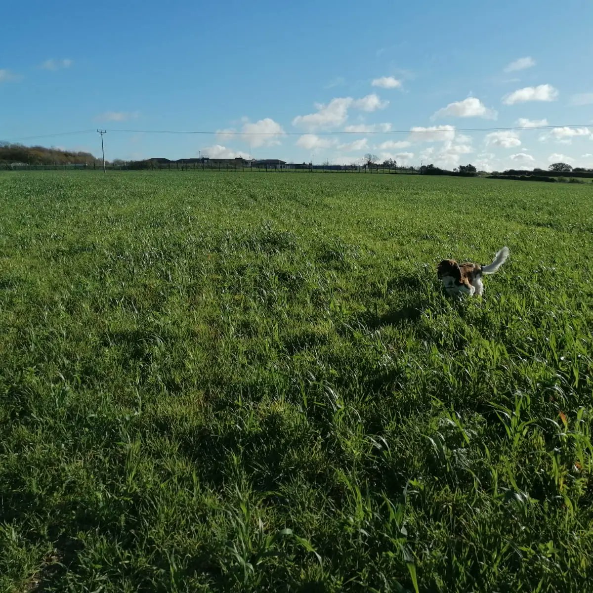 Hello,
As part of my training and fundraising, we have been set a challenge by Team Morocco to walk 226.4km each before we leave for Morocco in July 2023!
Any sponsors through my Just Giving page to help my adventure would be greatly appreciated!
Thank you for all your support!🐫