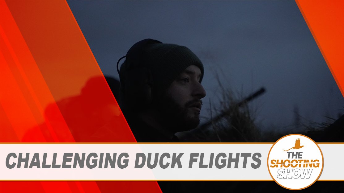 In this week’s episode of The Shooting Show, Chris Castle is in Aberdeen to flight ducks. Then Mark Ripley heads to Hungary, setting up in a high seat and waiting out in the forests for the ever elusive wild boar.
youtu.be/UB1G2RbFGVQ