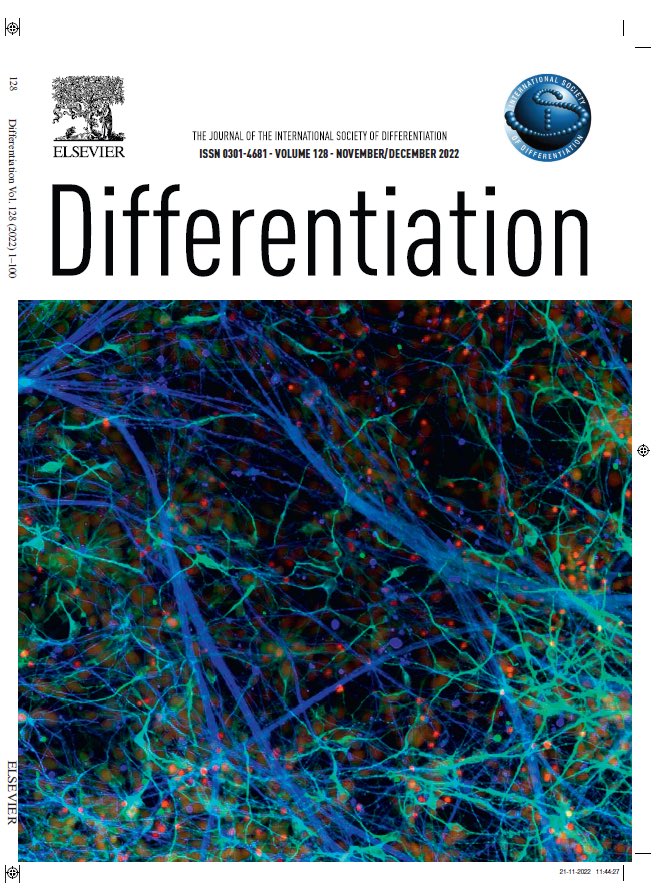 Differentiation Journal tweet media