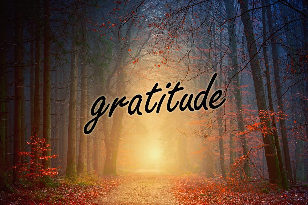 This is the season for gratitude, and all of us at Boulder Chorale are grateful to our community who has supported us through two of the most challenging years in our 56 year history. We need your help to continue our important work. Every gift matters. ❤️coloradogives.org/organization/B…