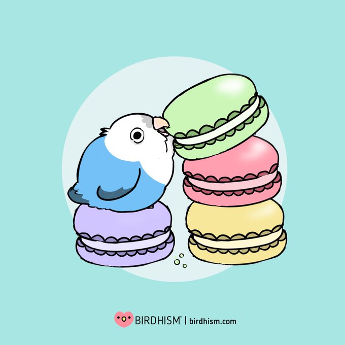 「macaron」 illustration images(Latest｜RT&Fav:50)｜5pages