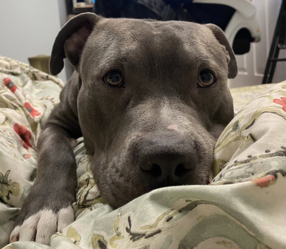 When I feel like I’m suffocating, you’re always the breath that manages to bring me back to life. Thank you truly❤️