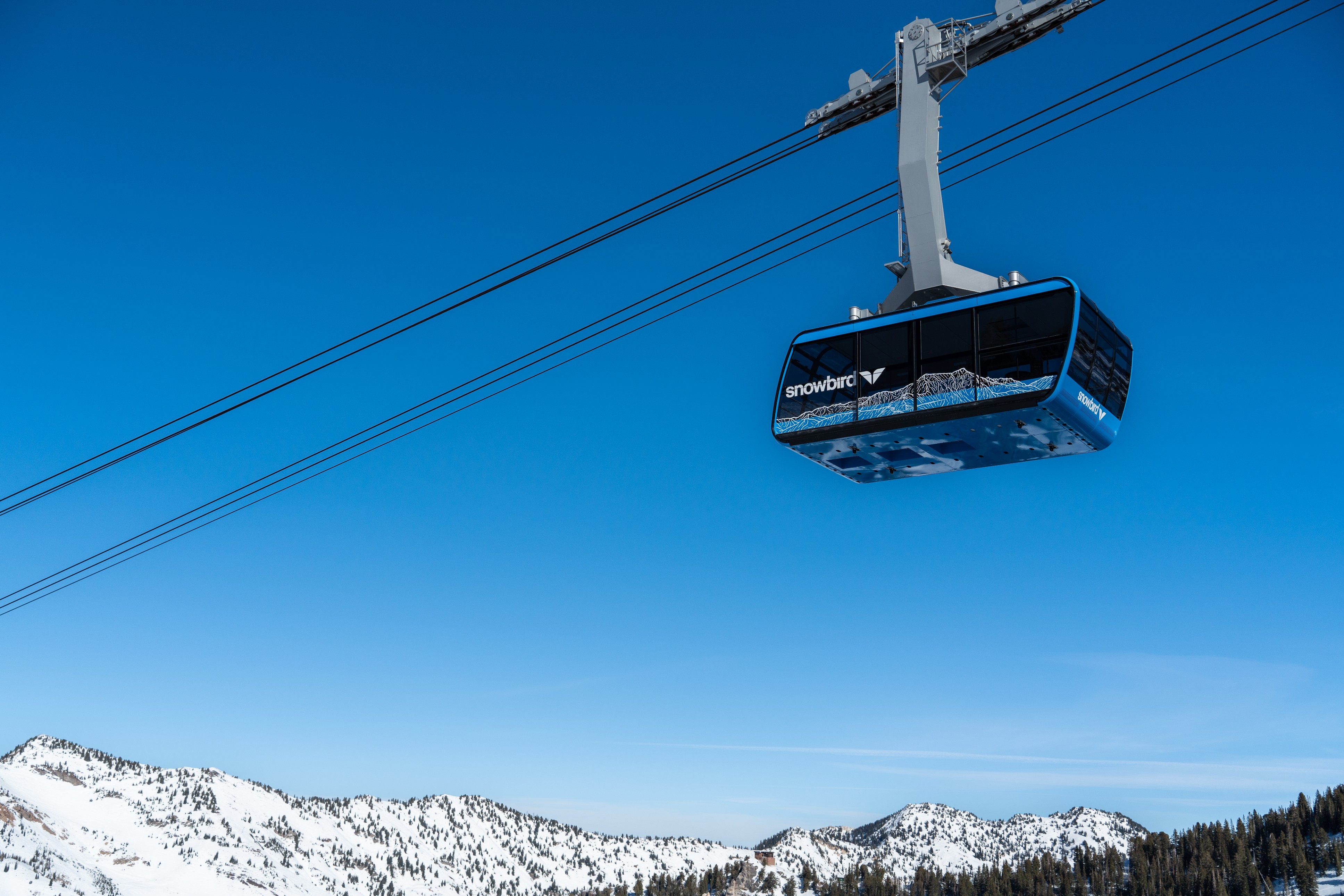 snowbird-on-twitter-the-tram-is-back-the-new-snowbird-tram-cabins
