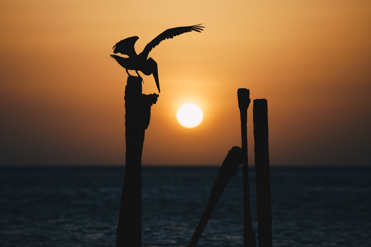 “Enjoy the beauty of a sunset nature’s farewell kiss for the night.” – Sharon Rene

#onehappyisland #TheArubaEffect