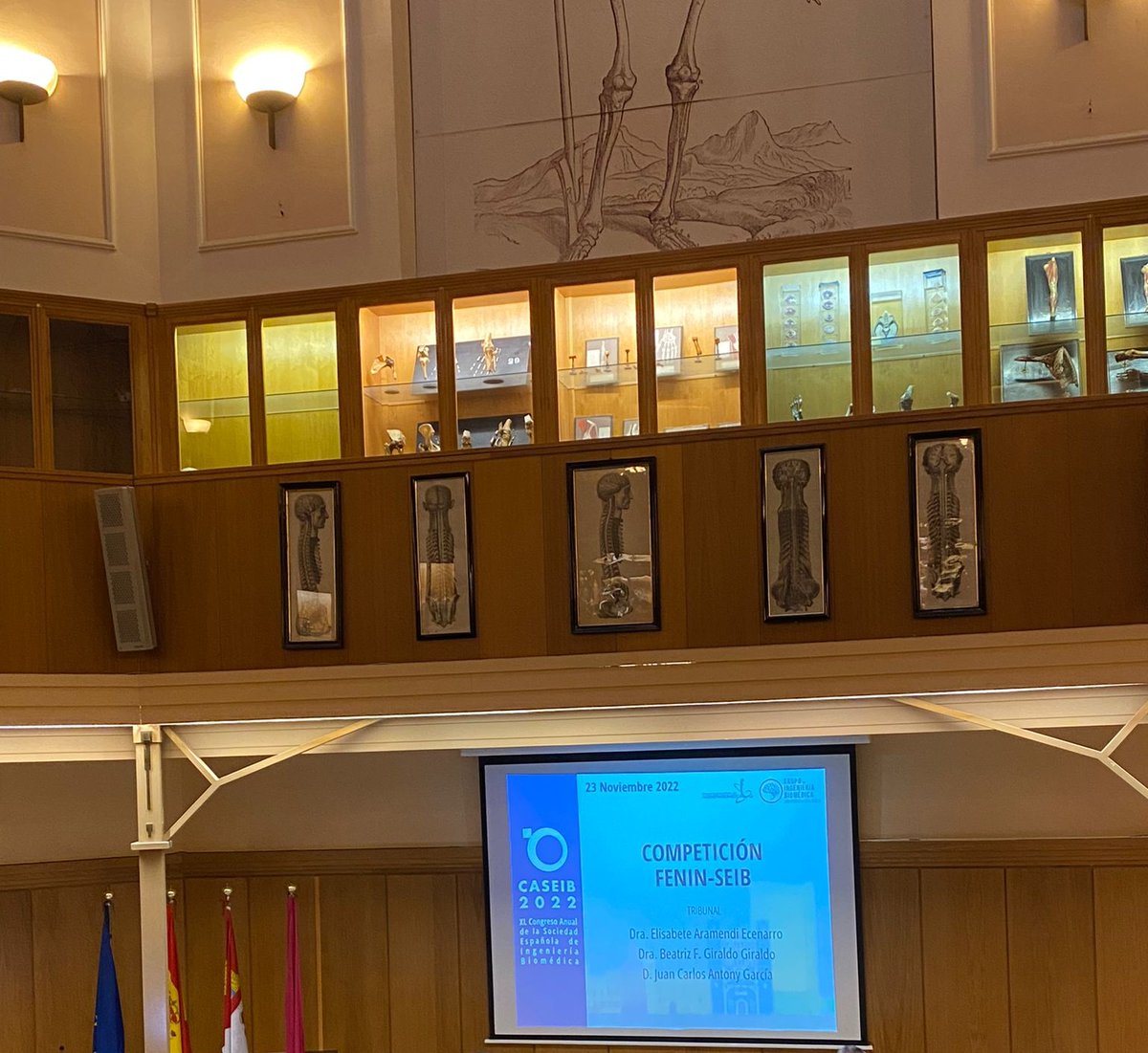 biomedical urjc tweet media